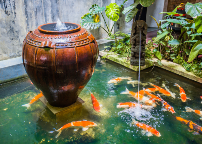 Indoor Koi pond and water feature
