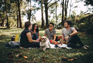 A group of young people enjoying a picnic under trees with a dog